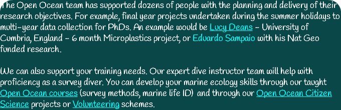 The Open Ocean team has supported dozens of people with the planning and delivery of their research objectives. For example, final year projects undertaken during the summer holidays to multi-year data collection for PhDs. An example would be Lucy Deans - University of Cumbria, England - 6 month Microplastics project, or Eduardo Sampaio with his Nat Geo funded research. We can also support your training needs. Our expert dive instructor team will help with proficiency as a survey diver. You can develop your marine ecology skills through our taught Open Ocean courses (survey methods, marine life ID) and through our Open Ocean Citizen Science projects or Volunteering schemes. 